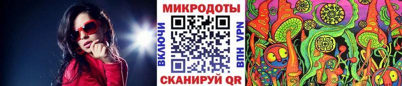 Галлюциногенные грибы Cubensis Приозерск